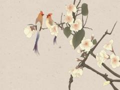 八字雙魚是什么意思 一個人是雙八字是啥意思