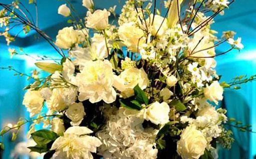 十二星座的生日花 十二星座的生日花