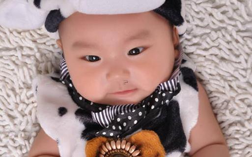 百家姓知識之李氏家譜 李氏家譜起源 百家姓知識之李氏家譜 李氏家譜起源