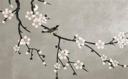 2023屬兔吉星兇星,2023屬兔的命運好不好