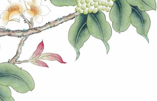90后屬龍的是哪一年的,90年代屬龍的是哪一年