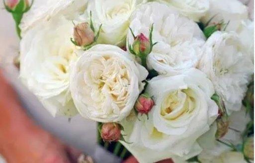 結婚就消失的星座
