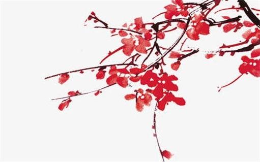 2023年本命年怎么解,2023年本命年犯太歲