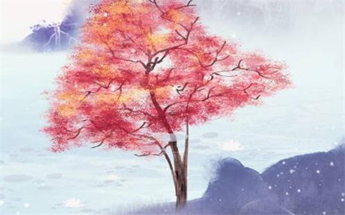 屬豬的和什么屬相的人最合適 屬豬和哪個(gè)屬相合適 屬豬的和什么屬相的人最合適 屬豬和哪個(gè)屬相合適