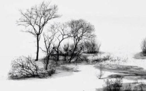 1962年虎人58歲后發生 1962年虎59歲2023年 1962年虎人58歲后發生 1962年虎59歲2023年