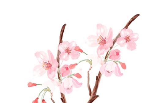 什么八字身材有前有后 八字與身材