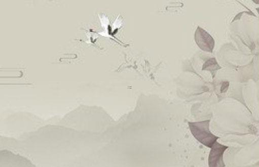 屬牛人2023年戴孝嗎