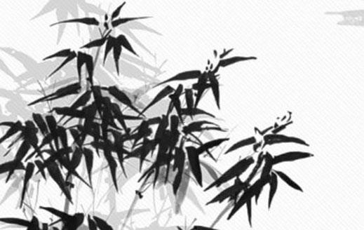 郴州哪里可以算八字 郴州哪里有算命準(zhǔn)的地方 郴州哪里可以算八字 郴州哪里有算命準(zhǔn)的地方