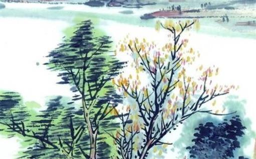 63年屬兔人的吉數 63年的兔屬什么 63年屬兔人的吉數 63年的兔屬什么