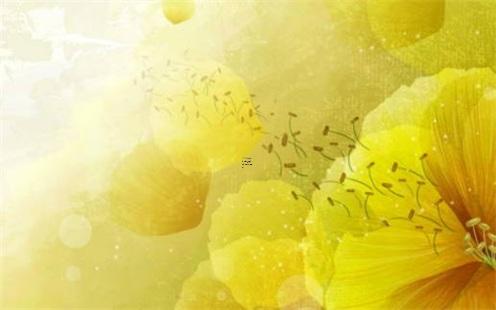 女人八字帶桃花刀什么意思 八字帶桃花的女人都漂亮嗎