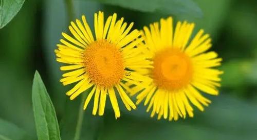 夢見自己過橋掉河里了是什么意思 夢見過橋掉下河 夢見自己過橋掉河里了是什么意思 夢見過橋掉下河