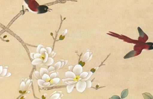 76年屬龍養(yǎng)什么植物旺,76年的龍養(yǎng)什么植物