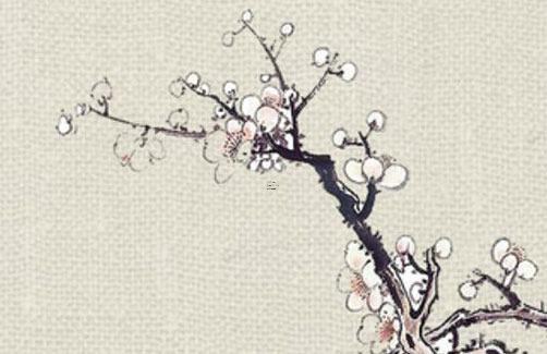 屬虎今年多少歲2010,屬虎今年多少歲虛歲 屬虎今年多少歲2010,屬虎今年多少歲虛歲