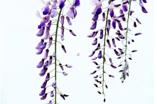 霸道的游戲名字大全 霸道游戲名字大全兩字帶符號