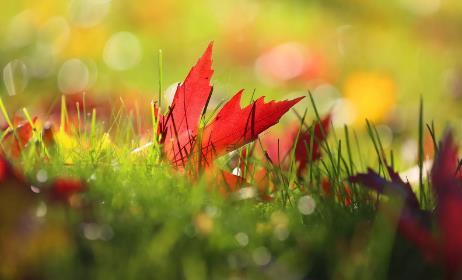 經(jīng)常夢見自己拿槍 做夢夢到自己拿槍