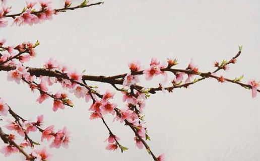 憂傷的網絡游戲網名大全 有哪些憂傷的網名