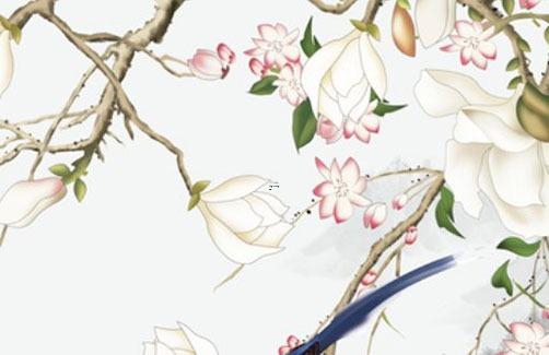 今年屬猴年齡表 屬猴的年齡對照表 今年屬猴年齡表 屬猴的年齡對照表