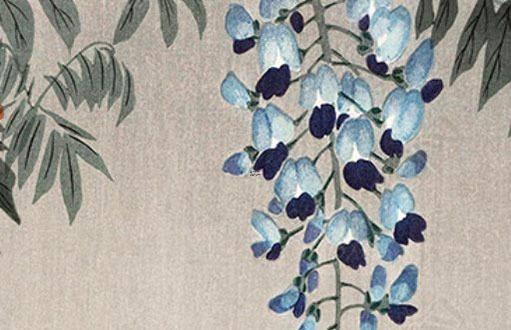范姓女寶寶取名大全寓意,范姓女寶寶取什么名字好？