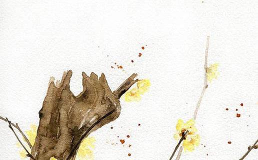 女寶寶好聽英文名 女寶寶好聽的英文名字大全2019 女寶寶好聽英文名 女寶寶好聽的英文名字大全2019