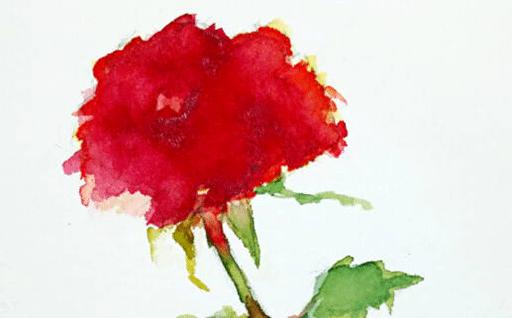 屬龍今年養(yǎng)什么花,屬龍的養(yǎng)什么花最旺財(cái)招財(cái)