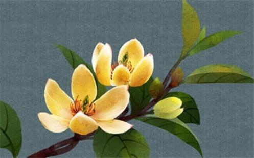 屬鼠與屬虎,屬鼠與屬虎合不合婚
