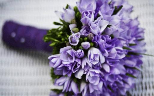 珀爾修斯守護星座 珀爾修斯守護星座