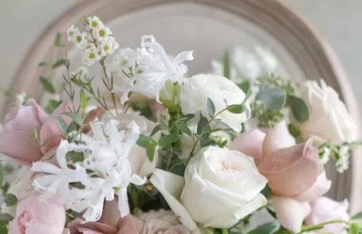 YP十二星座女 YP十二星座女