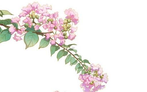 屬龍和屬猴差幾歲,屬龍和屬猴的誰壓誰