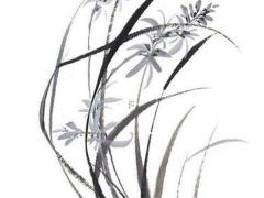 2023年屬兔名字五行缺什么呢女孩,2023年屬兔名字五行缺什么呢怎么讀