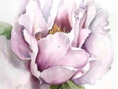 什么樣的八字是敗家子 八字看敗家子八字