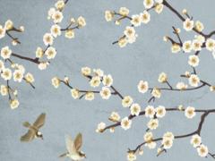 屬龍的今年幾歲,屬龍的今年幾歲對應歲數