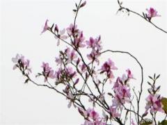 射手座最窮的三個屬相,水瓶座最窮的三個屬相