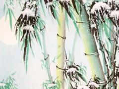 晨八字屬什么顏色 五行中晨屬什么
