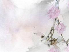 生辰里的八字代表什么 生辰八字里的八字是什么?