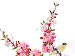 結婚合八字要合什么意思 結婚合八字是信仰崇拜嗎