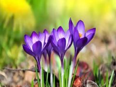 周公解夢夢見天上有船 夢見天上有大船