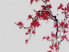 測試女生喜不喜歡你測試題 測試女生喜不喜歡你的話