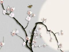 屬虎人的土豪生活是什么樣的 屬虎人穩重