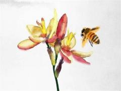 屬蛇男和屬兔女有緣分 屬蛇男和屬兔女的財運