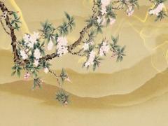 屬龍1976年7月一生運氣 查一下1976年屬龍的運程