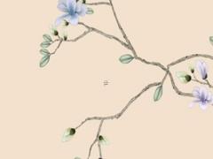 屬鼠射手座O型血男女性格分析和配對 屬鼠射手座的性格