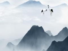 八字兩只兔子掙一頭豬什么意思 兩只兔子婚姻好不好