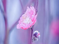 夢見兒子洗澡是什么意思