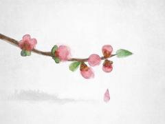 1977年屬蛇能戴玉佛嗎,1977年屬蛇的戴玉好還是金