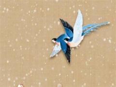 2023年屬龍的每月運程怎么樣呢,2023年屬龍人運勢如何?