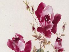 八字花草命什么意思 八字花草木命是啥意思