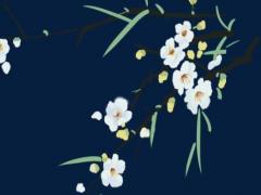 87年屬兔適合的飾品,87年屬兔的人帶什么最好