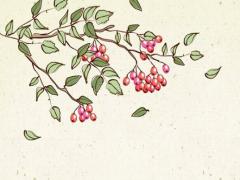 八字命理測試算婚姻準嗎 八字測婚可信嗎