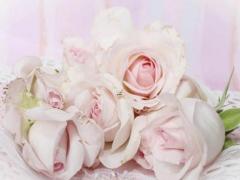 這些星座因事業心太強而錯過真愛