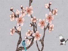 要認真貫徹什么八字方針 要貫徹落實什么八字方針